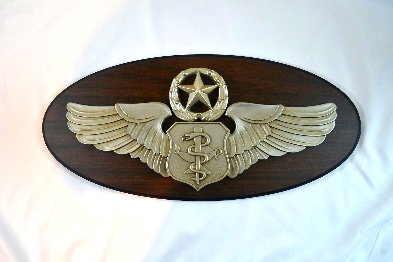 USAF – MASTER FLIGHT NURSE